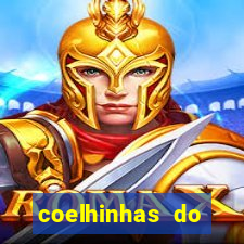 coelhinhas do brasil site